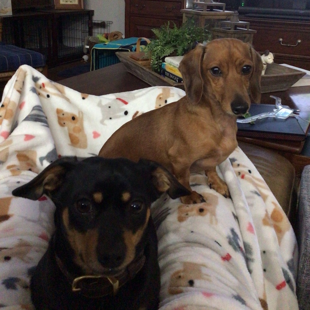 Meet your Posher, Terry